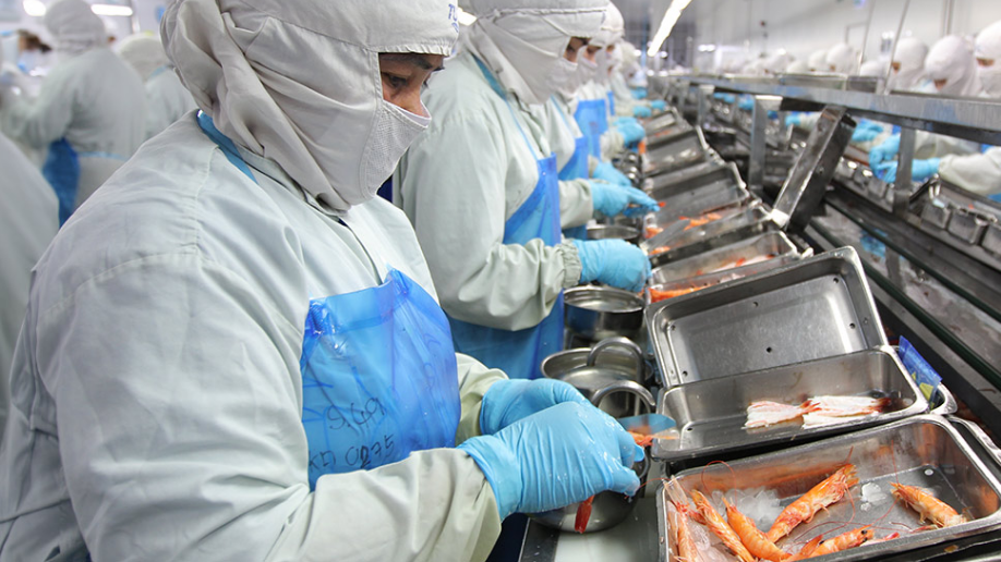 Perú reducirá hasta en 45 % los tiempos de inspección sanitaria en plantas procesadoras